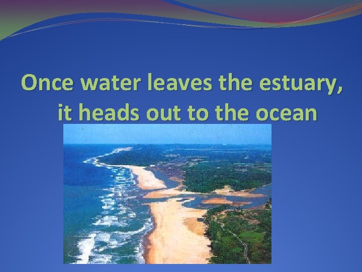 Once water leaves the estuary, it heads out to the ocean 