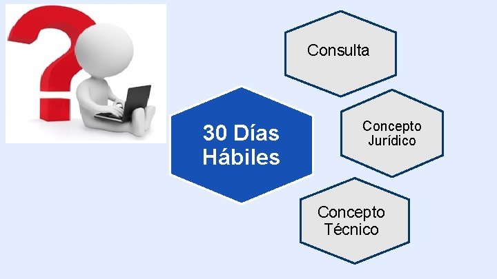 Consulta 30 Días Hábiles Concepto Jurídico Concepto Técnico 