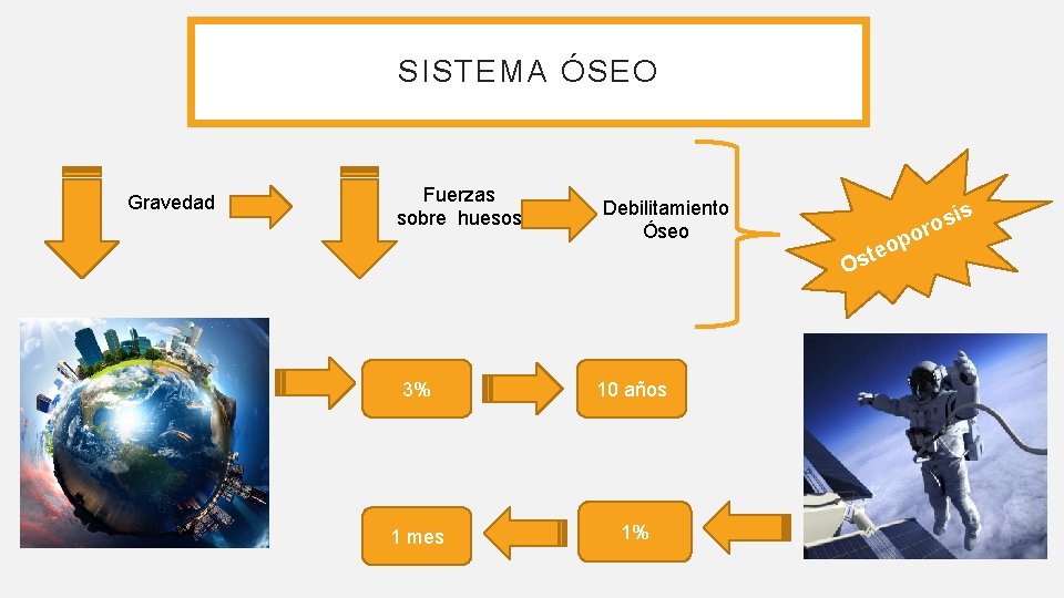SISTEMA ÓSEO Gravedad Fuerzas sobre huesos Debilitamiento Óseo s p o ste O 3% SISTEMA ÓSEO Gravedad Fuerzas sobre huesos Debilitamiento Óseo s p o ste O 3%