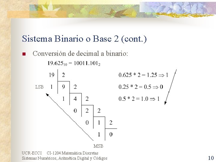 Sistema Binario o Base 2 (cont. ) n Conversión de decimal a binario: LSB