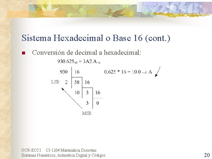 Sistema Hexadecimal o Base 16 (cont. ) n Conversión de decimal a hexadecimal: LSB