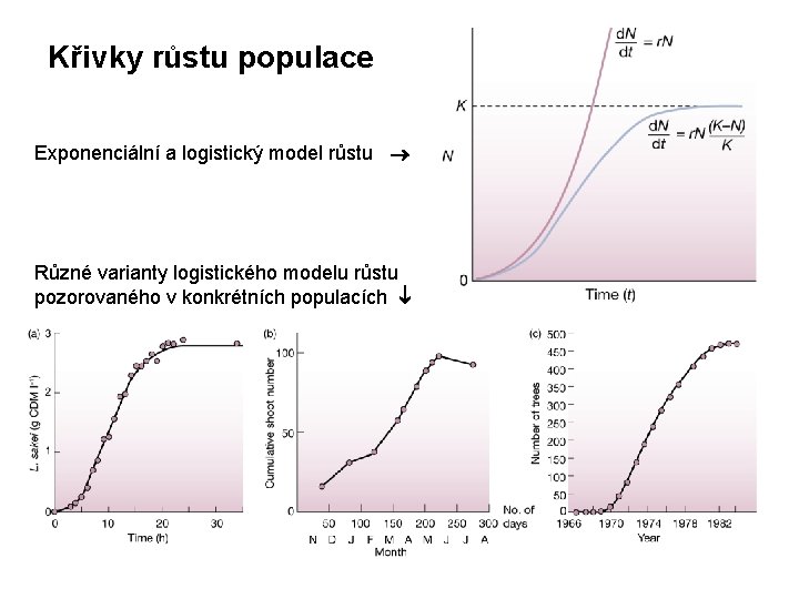 Křivky růstu populace Exponenciální a logistický model růstu Různé varianty logistického modelu růstu pozorovaného