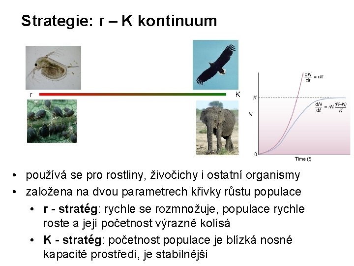 Strategie: r – K kontinuum • používá se pro rostliny, živočichy i ostatní organismy