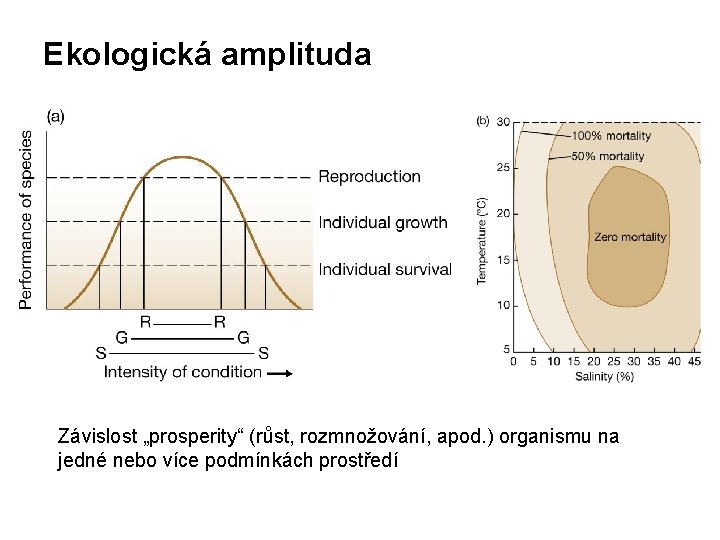 Ekologická amplituda Závislost „prosperity“ (růst, rozmnožování, apod. ) organismu na jedné nebo více podmínkách