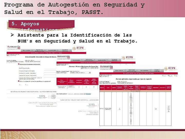 Programa de Autogestión en Seguridad y Salud en el Trabajo, PASST. 5. Apoyos informáticos