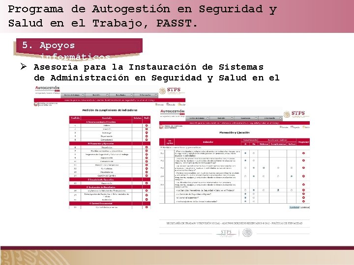 Programa de Autogestión en Seguridad y Salud en el Trabajo, PASST. 5. Apoyos informáticos