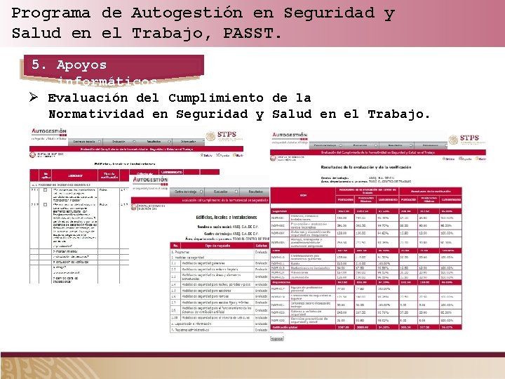 Programa de Autogestión en Seguridad y Salud en el Trabajo, PASST. 5. Apoyos informáticos