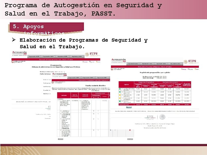 Programa de Autogestión en Seguridad y Salud en el Trabajo, PASST. 5. Apoyos informáticos