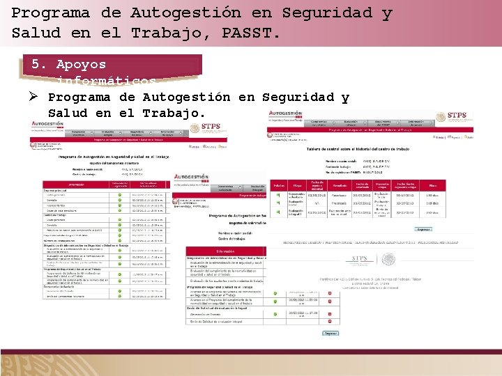 Programa de Autogestión en Seguridad y Salud en el Trabajo, PASST. 5. Apoyos informáticos