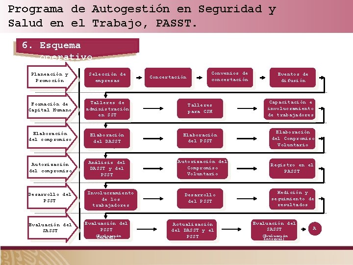 Programa de Autogestión en Seguridad y Salud en el Trabajo, PASST. 6. Esquema operativo