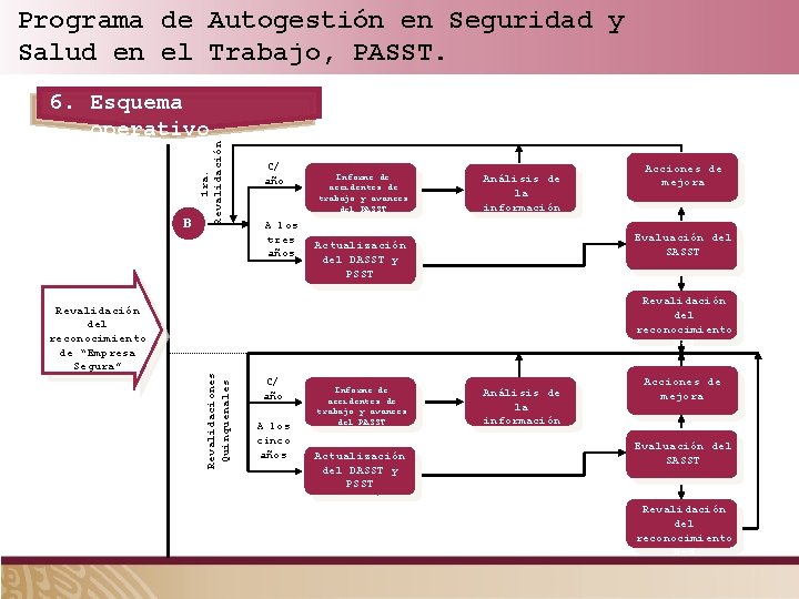 Programa de Autogestión en Seguridad y Salud en el Trabajo, PASST. Revalidación del reconocimiento