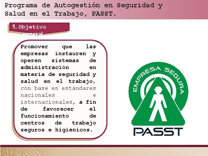 Programa de Autogestión en Seguridad y Salud en el Trabajo, PASST. 1. Objetivo general