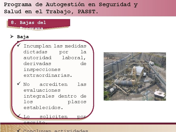 Programa de Autogestión en Seguridad y Salud en el Trabajo, PASST. 8. Bajas del