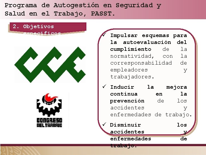 Programa de Autogestión en Seguridad y Salud en el Trabajo, PASST. 2. Objetivos específicos