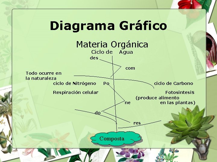 Diagrama Gráfico Materia Orgánica Ciclo de Agua des com Todo ocurre en la naturaleza