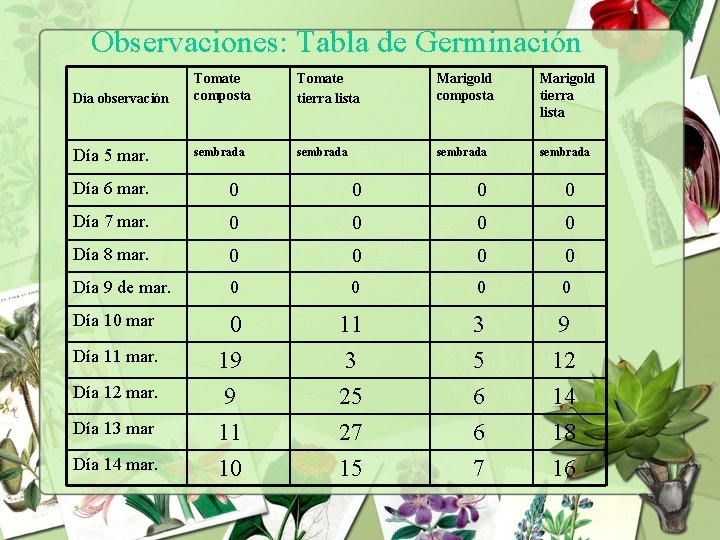 Observaciones: Tabla de Germinación Día observación Día 5 mar. Tomate composta Tomate tierra lista