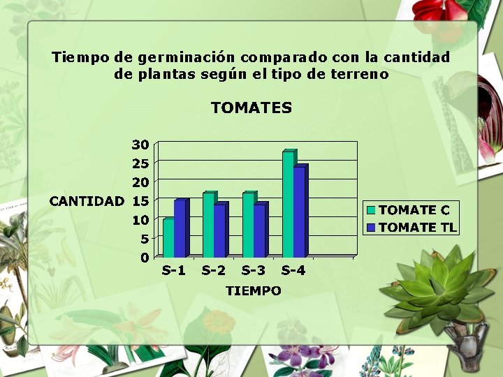 Tiempo de germinación comparado con la cantidad de plantas según el tipo de terreno