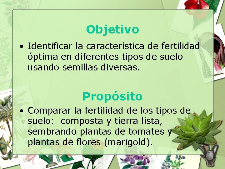 Objetivo • Identificar la característica de fertilidad óptima en diferentes tipos de suelo usando