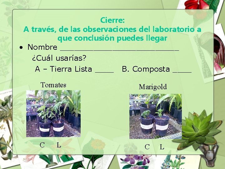 Cierre: A través, de las observaciones del laboratorio a que conclusión puedes llegar •