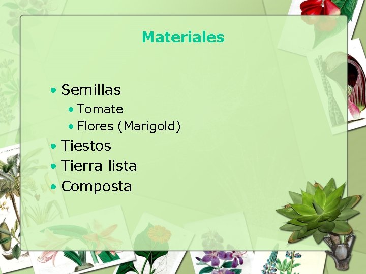 Materiales • Semillas • Tomate • Flores (Marigold) • Tiestos • Tierra lista •