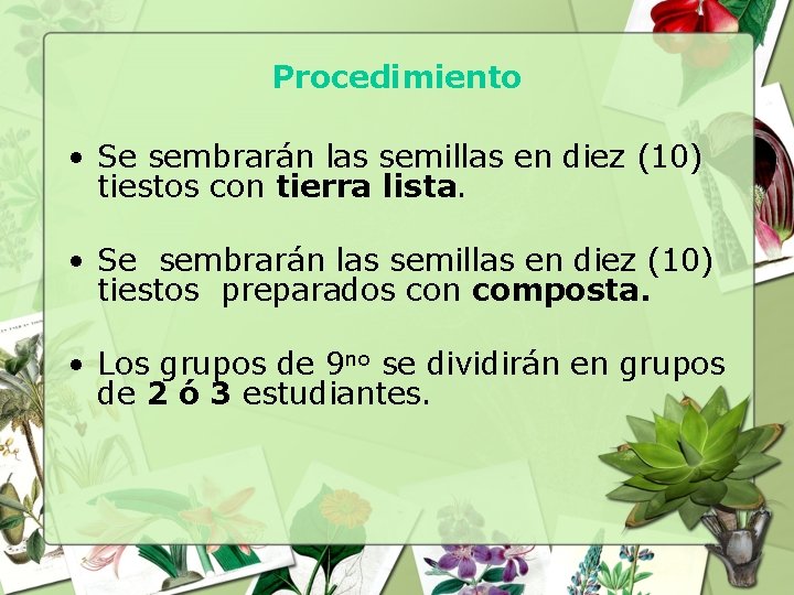 Procedimiento • Se sembrarán las semillas en diez (10) tiestos con tierra lista. •