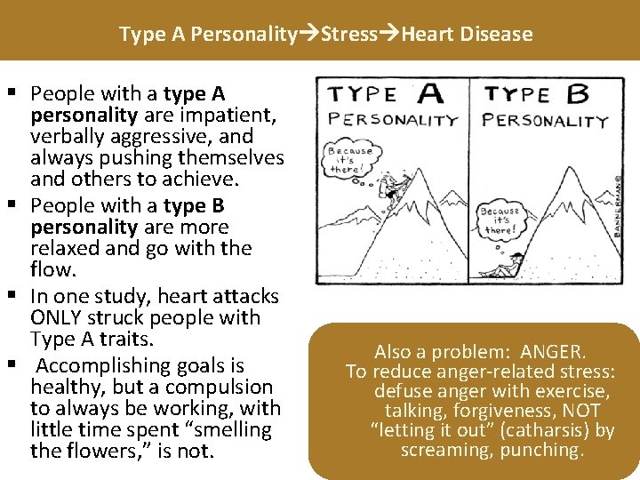 Type A Personality Stress Heart Disease § People with a type A personality are