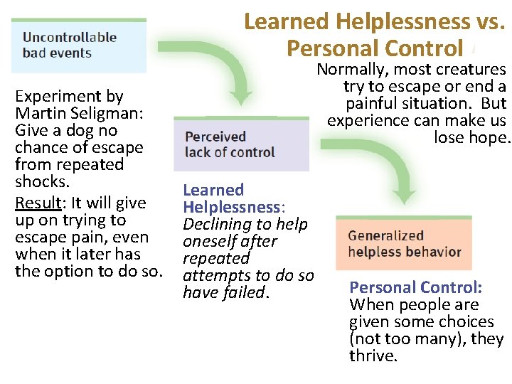 Learned Helplessness vs. Personal Control Experiment by Martin Seligman: Give a dog no chance