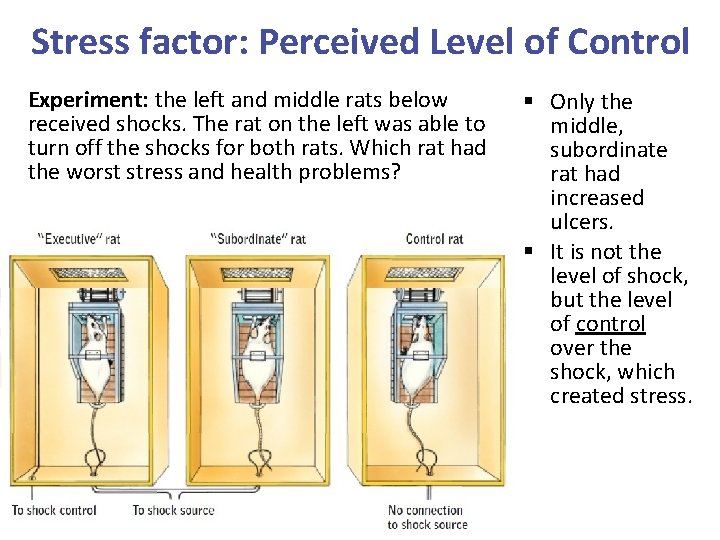 Stress factor: Perceived Level of Control Experiment: the left and middle rats below received