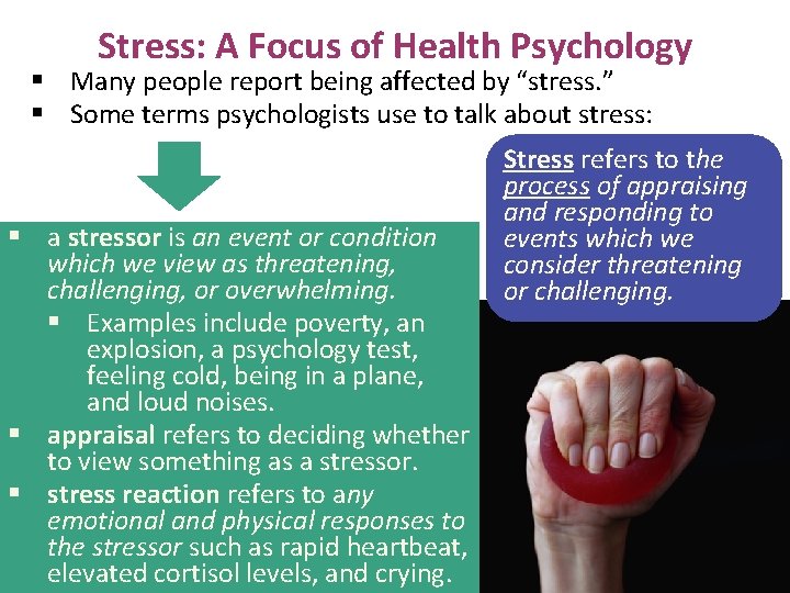 Stress: A Focus of Health Psychology § Many people report being affected by “stress.