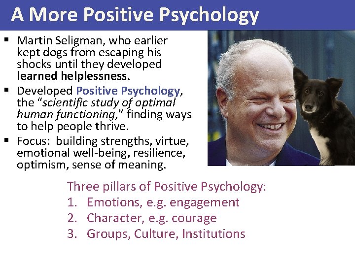 A More Positive Psychology § Martin Seligman, who earlier kept dogs from escaping his