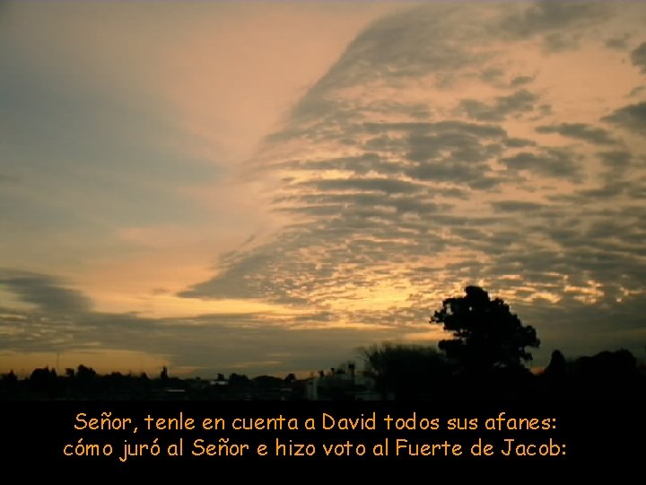 Señor, tenle en cuenta a David todos sus afanes: cómo juró al Señor e Señor, tenle en cuenta a David todos sus afanes: cómo juró al Señor e