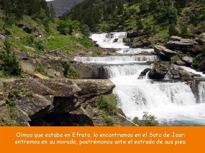 Oímos que estaba en Efrata, lo encontramos en el Soto de Jaar: entremos en Oímos que estaba en Efrata, lo encontramos en el Soto de Jaar: entremos en