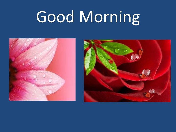 Good Morning 
