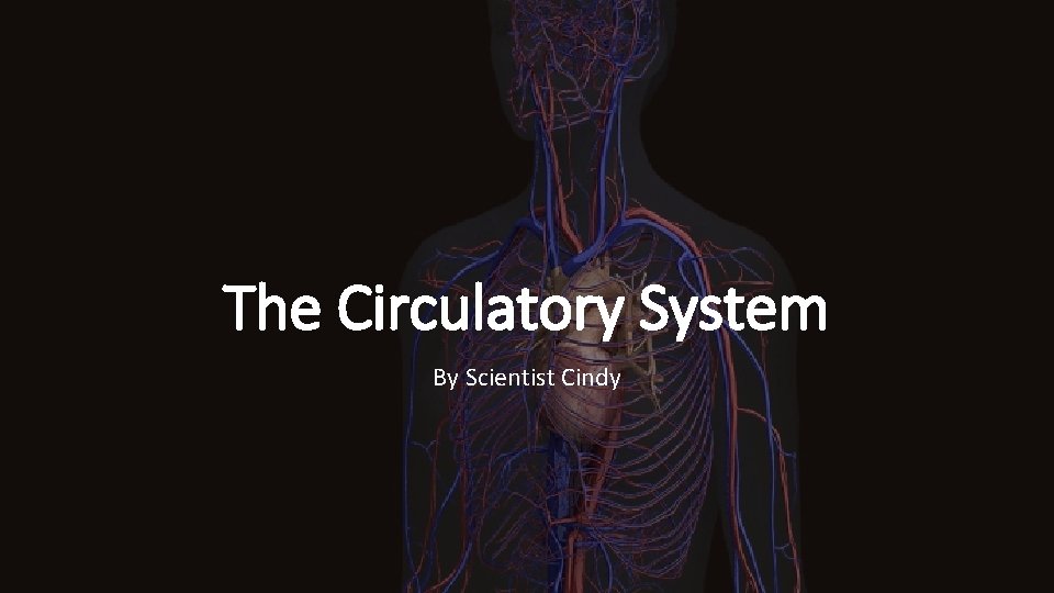 The Circulatory System By Scientist Cindy 