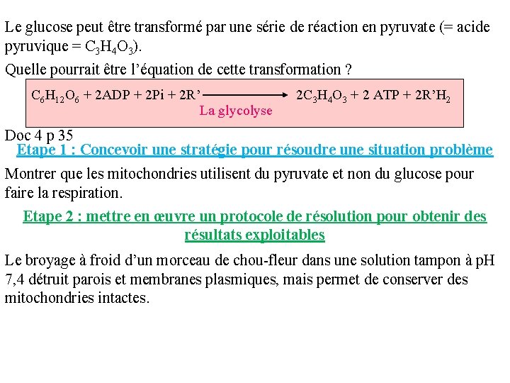 Le glucose peut être transformé par une série de réaction en pyruvate (= acide