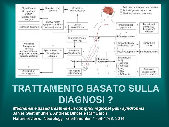 TRATTAMENTO BASATO SULLA DIAGNOSI ? Mechanism-based treatment in complex regional pain syndromes Janne Gierthmuhlen,