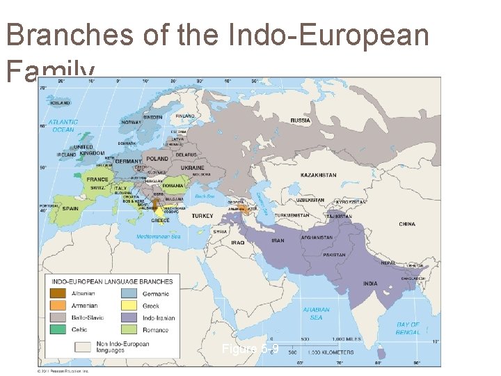 Branches of the Indo-European Family Figure 5 -9 