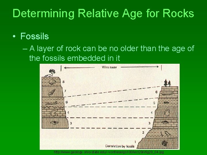 Determining Relative Age for Rocks • Fossils – A layer of rock can be