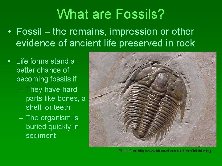 What are Fossils? • Fossil – the remains, impression or other evidence of ancient