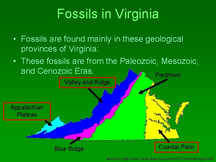 Fossils in Virginia • Fossils are found mainly in these geological provinces of Virginia: