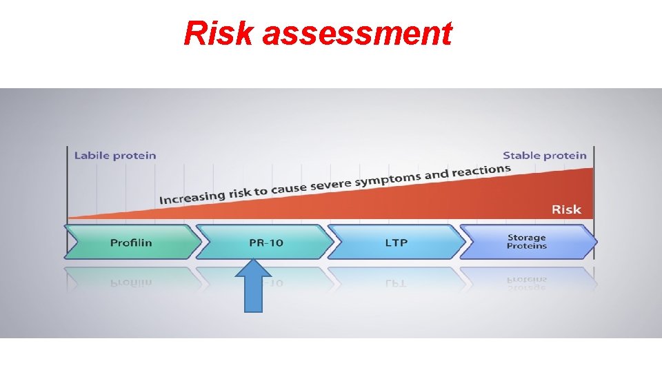 Risk assessment 