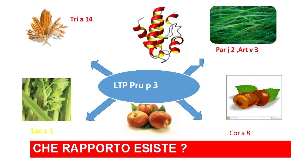 Tri a 14 Par j 2 , Art v 3 LTP Pru p 3