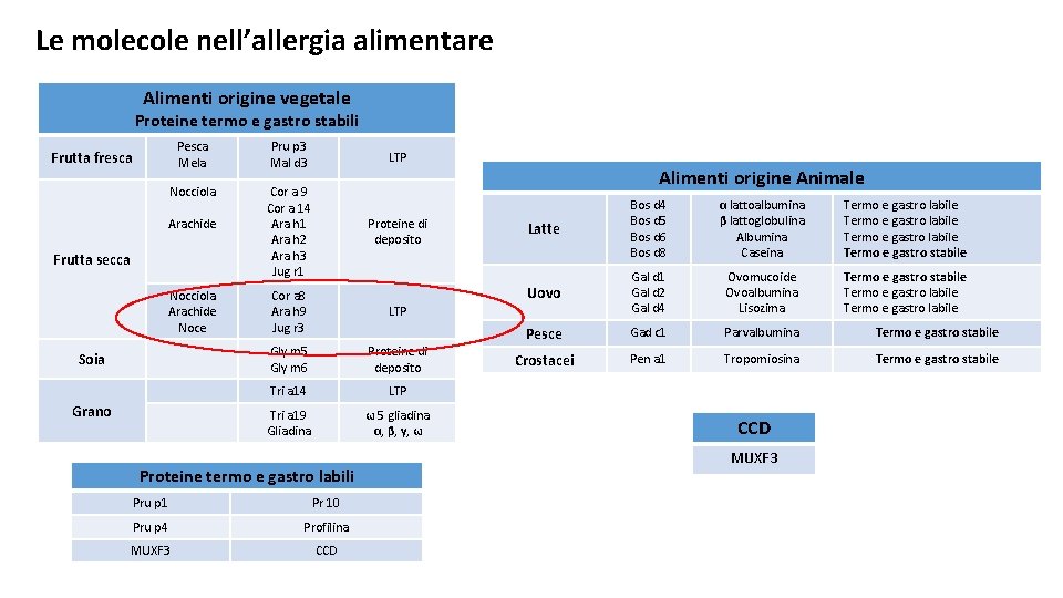 Le molecole nell’allergia alimentare Alimenti origine vegetale Proteine termo e gastro stabili Pesca Mela