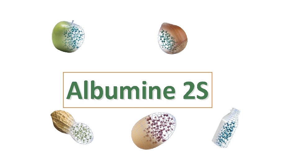 Albumine 2 S 