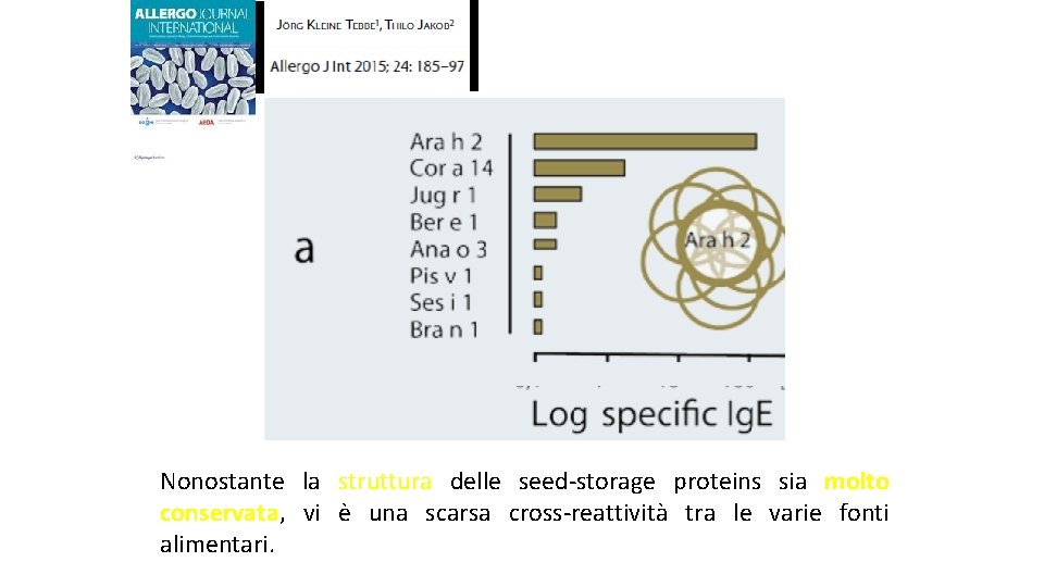 Nonostante la struttura delle seed-storage proteins sia molto conservata, vi è una scarsa cross-reattività