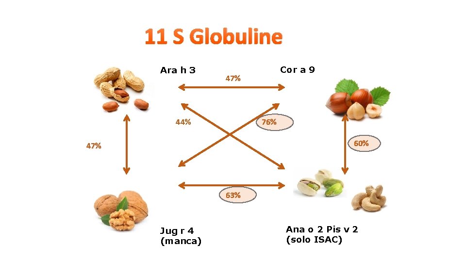 11 S Globuline Ara h 3 Cor a 9 47% 44% 76% 60% 47%