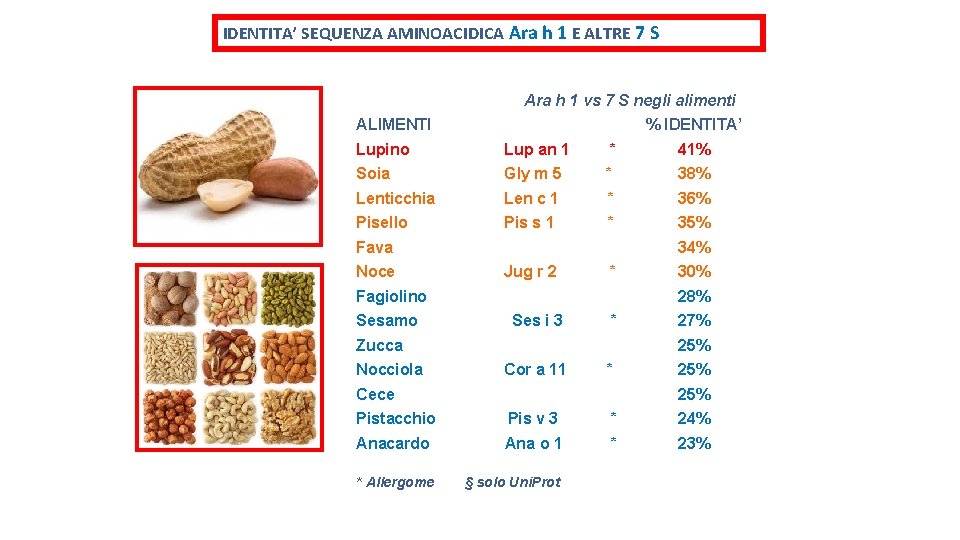 IDENTITA’ SEQUENZA AMINOACIDICA Ara h 1 E ALTRE 7 S Ara h 1 vs