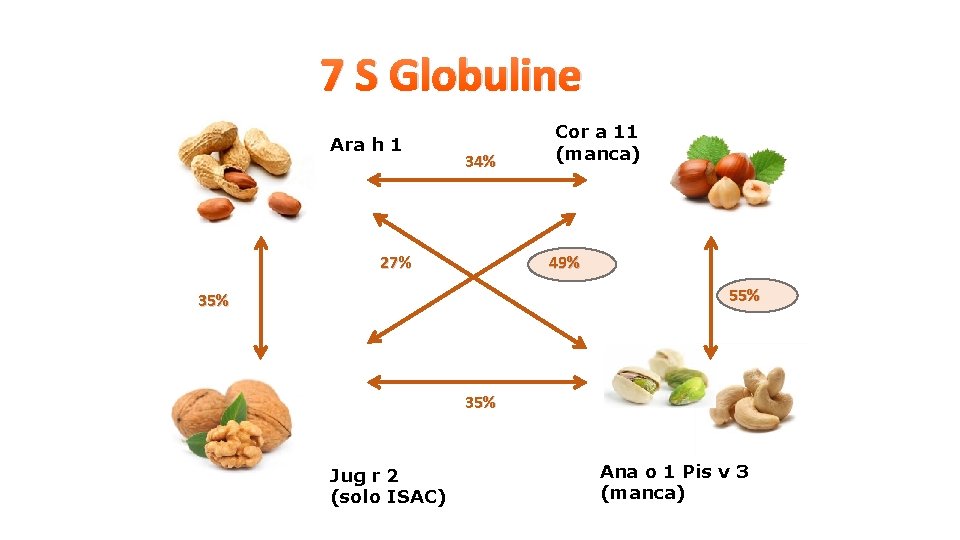 7 S Globuline Ara h 1 34% 27% Cor a 11 (manca) 49% 55%
