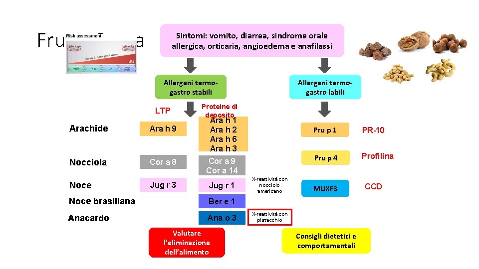 Frutta Secca Sintomi: vomito, diarrea, sindrome orale allergica, orticaria, angioedema e anafilassi Allergeni termogastro