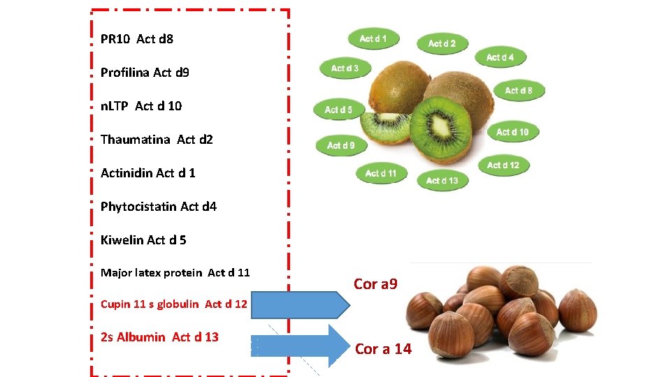 PR 10 Act d 8 Profilina Act d 9 n. LTP Act d 10